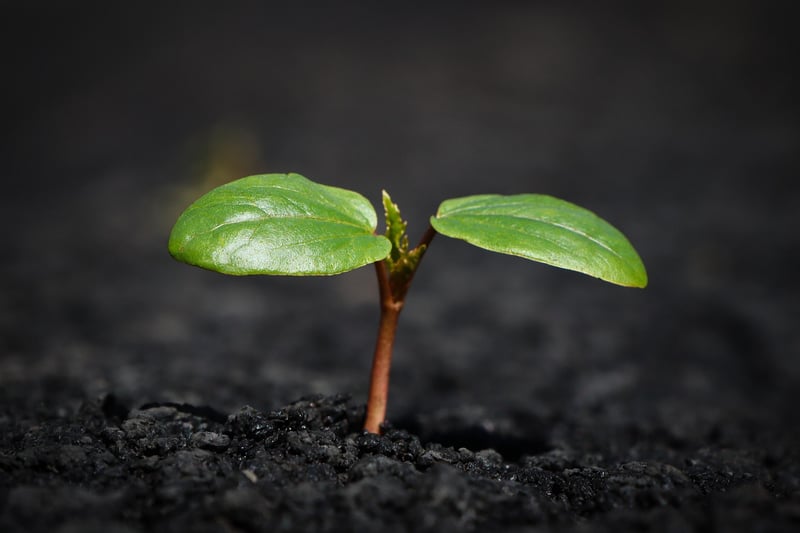 Soil Testing