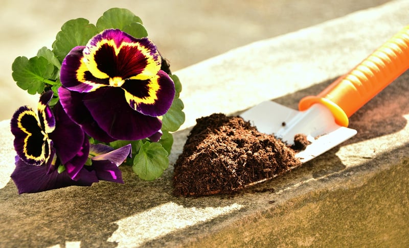 Gardening soil